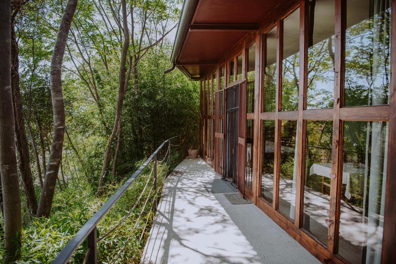 Villa Schindler Manerba del Garda Exterior photo