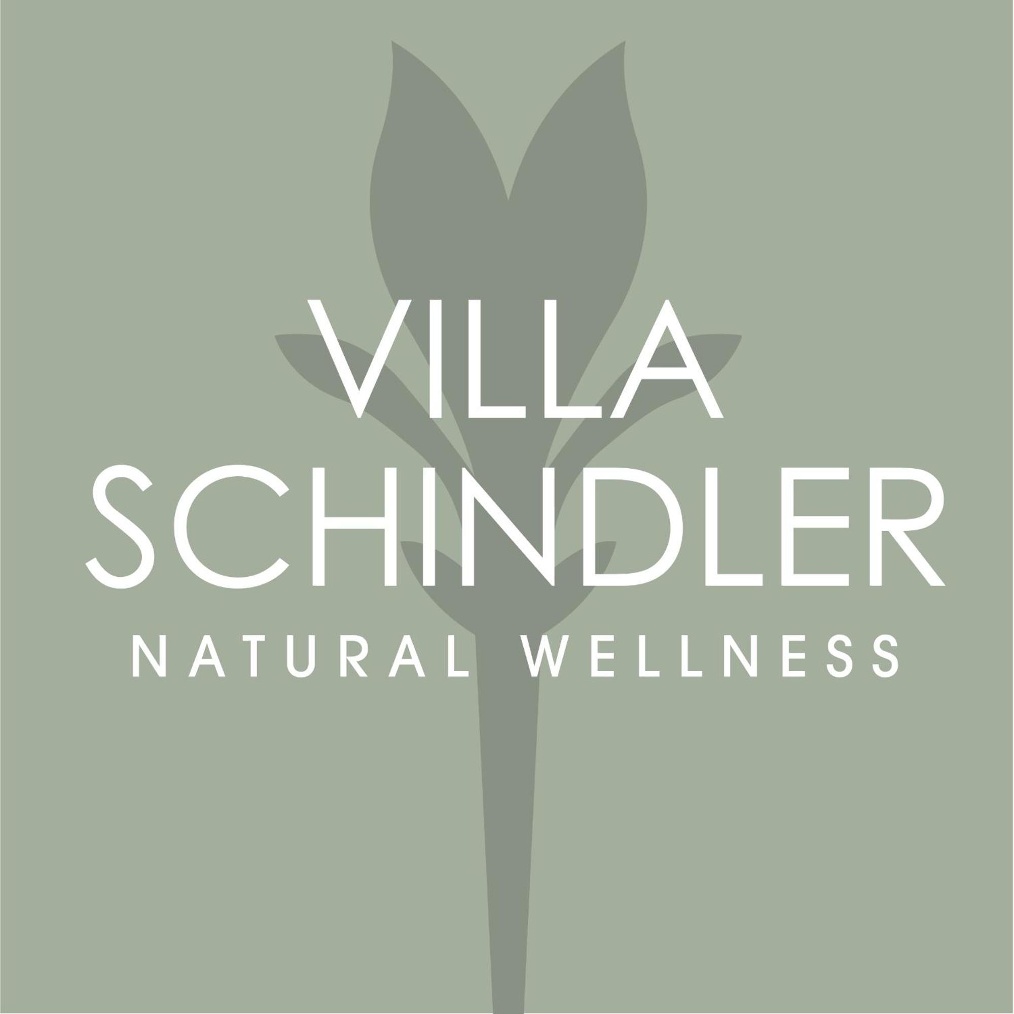 Villa Schindler Manerba del Garda Exterior photo